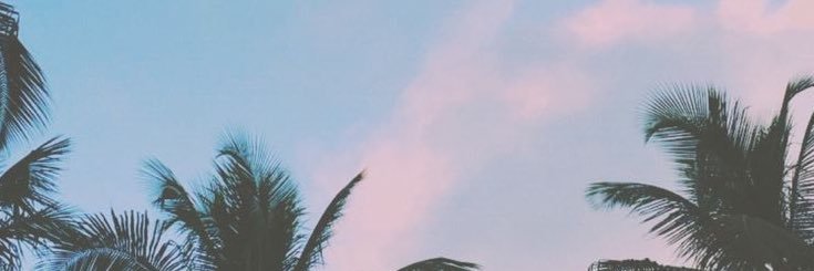 martitadinmita's profile banner image