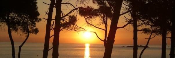 SallyCornwell's profile banner image