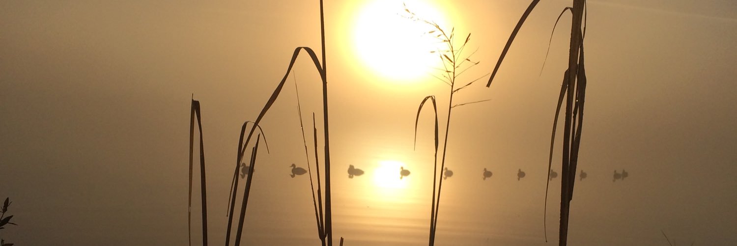 HunterBarnett23's profile banner image