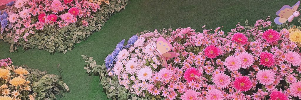 an_pnchi's profile banner image