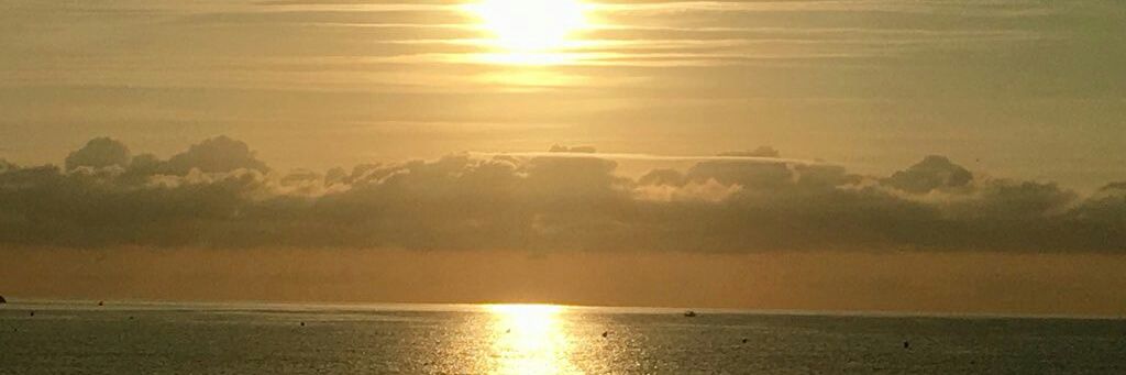 EvaColomera's profile banner image