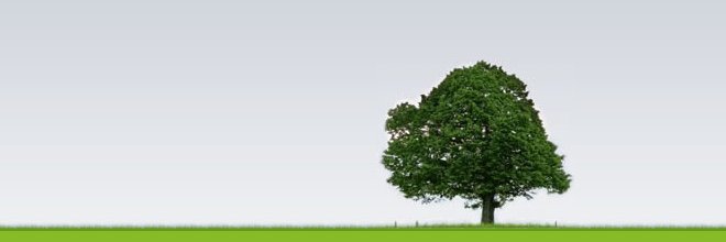 ScriptfestPEI's profile banner image