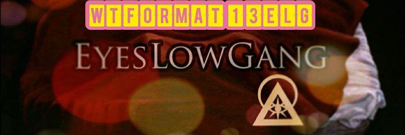 WTFormat13ELG's profile banner image