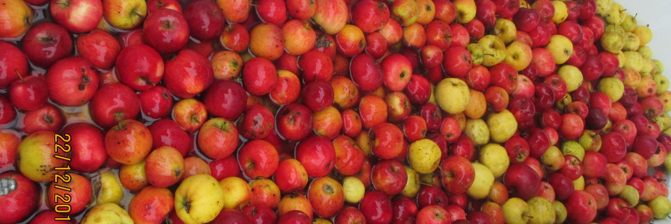 _BBCidre's profile banner image