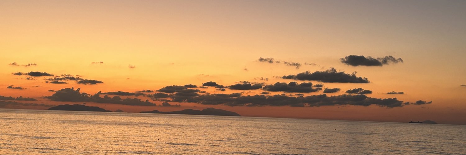 RosariaMoschell's profile banner image
