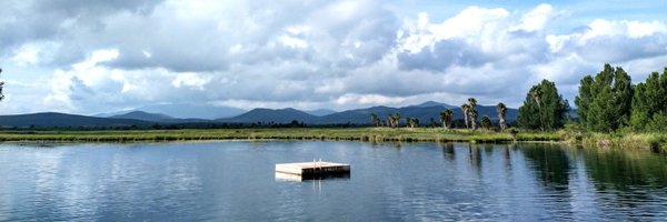 LuxeElite_ Profile Banner