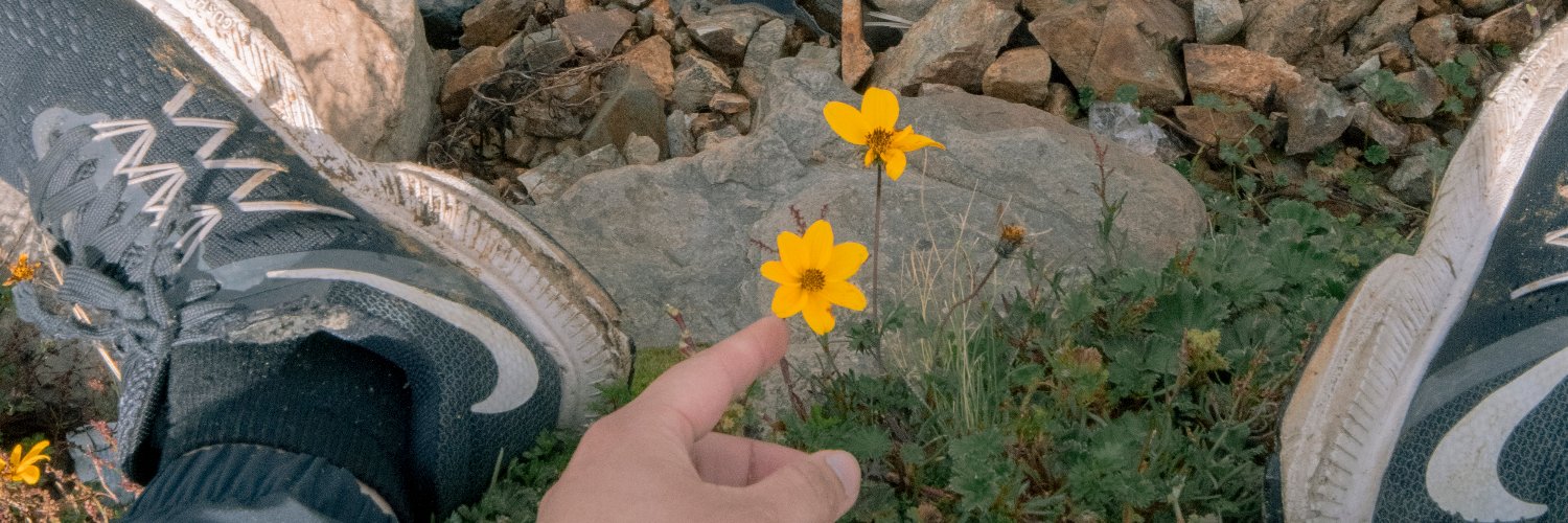 nosoysol_'s profile banner image