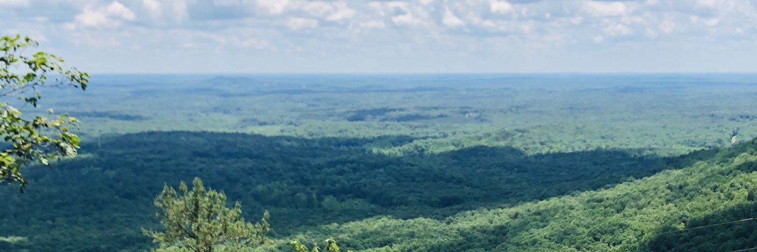 MsMarySpear's profile banner image