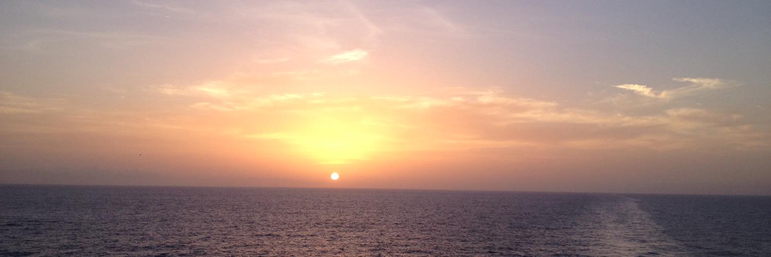 daisybisch's profile banner image