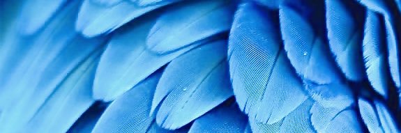 LuciArcila's profile banner image