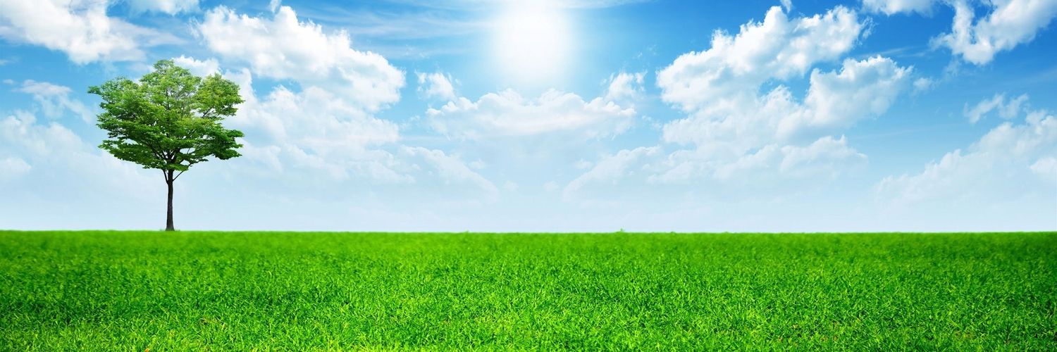 sreepp95's profile banner image