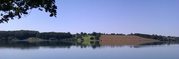 GEASwann Profile Banner