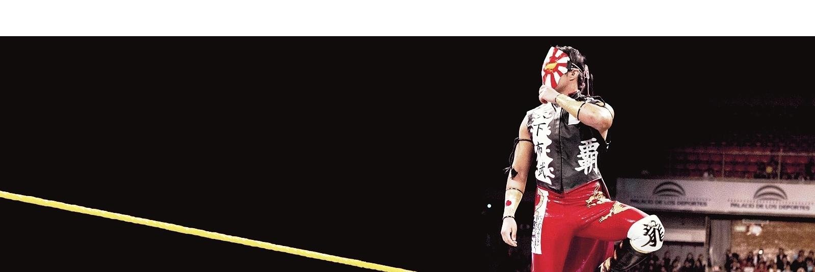 TheYoshiArmy's profile banner image