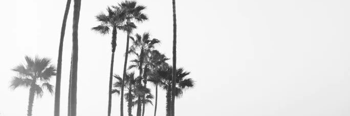 SeeIey's profile banner image