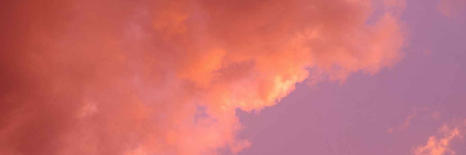CaroTrombley's profile banner image
