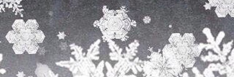 xAli_Lk's profile banner image