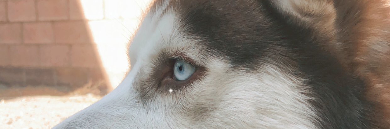 EvaVilla1's profile banner image