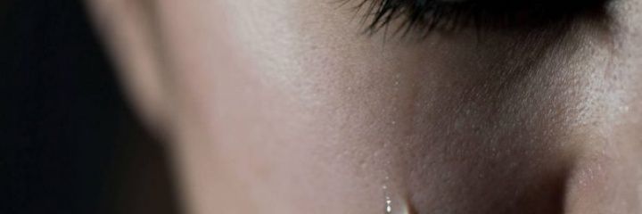 Fadaaja_'s profile banner image