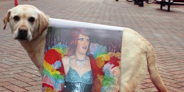 GinaStrings's profile banner image