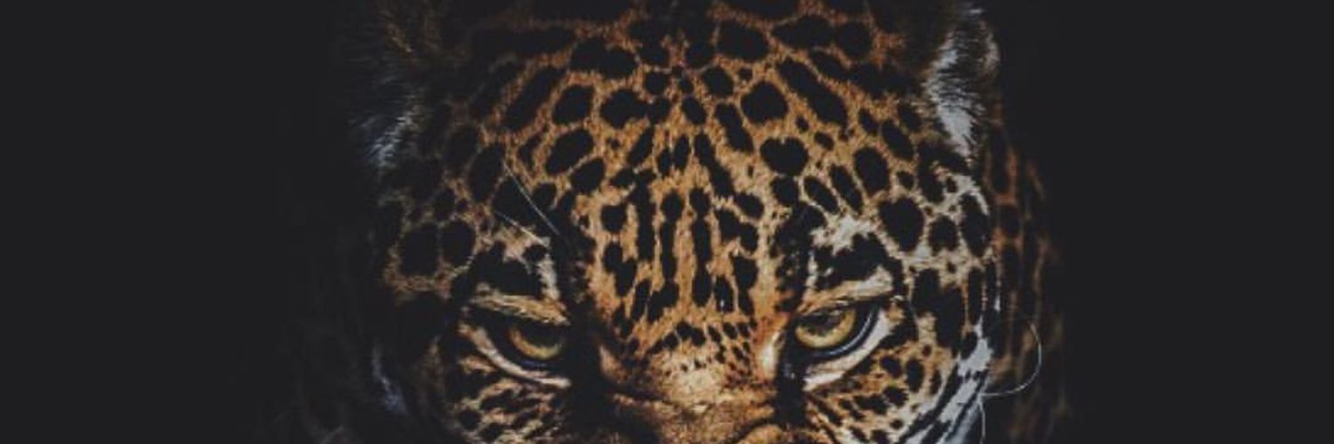 john_capuyon's profile banner image