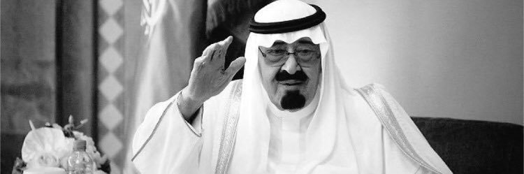 DAlmaliki11's profile banner image
