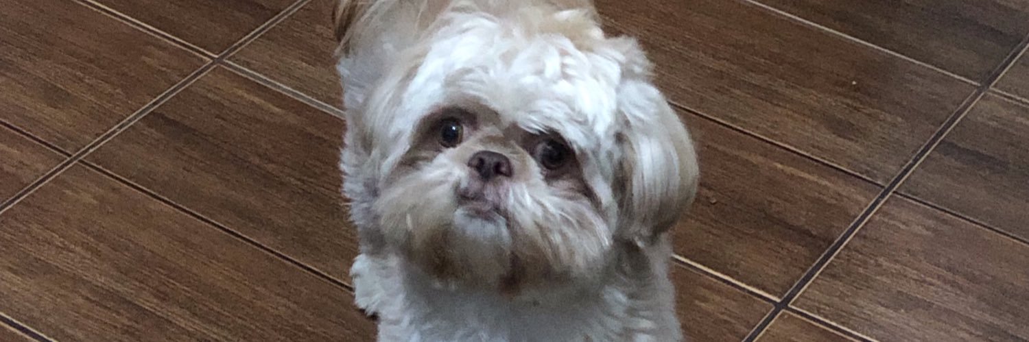 klebermaoli's profile banner image