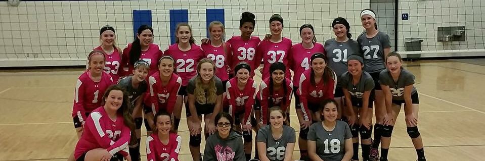ymca_hitters's profile banner image