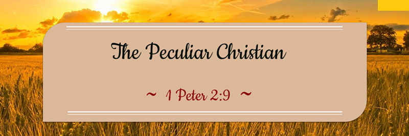PeculiarChristn's profile banner image