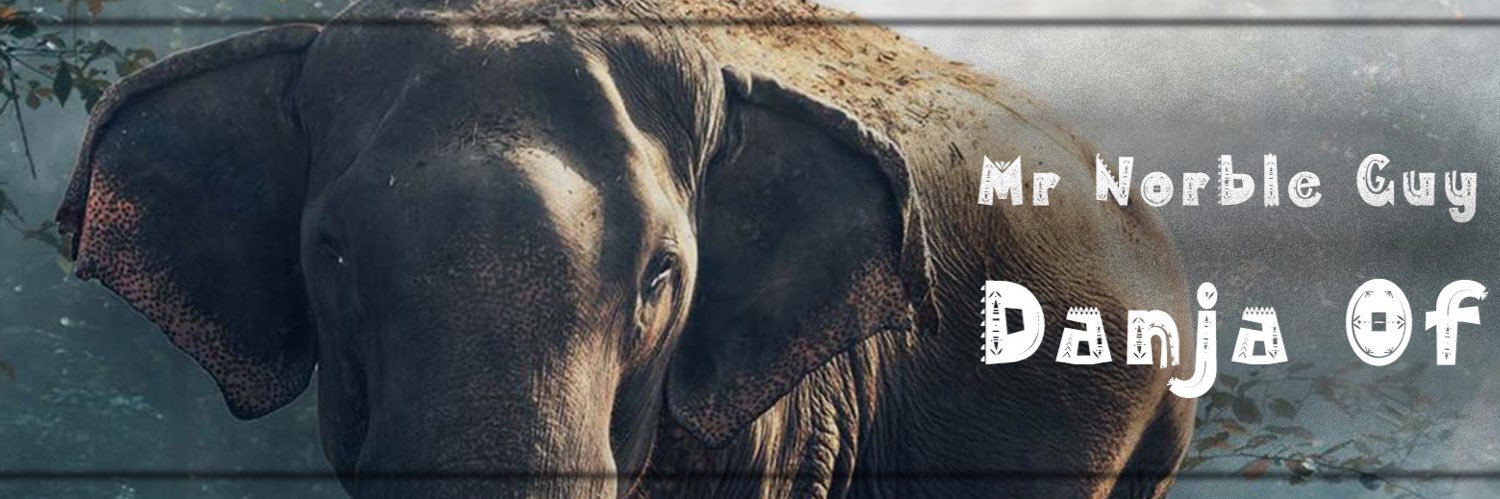 Mr Norble Guy banner