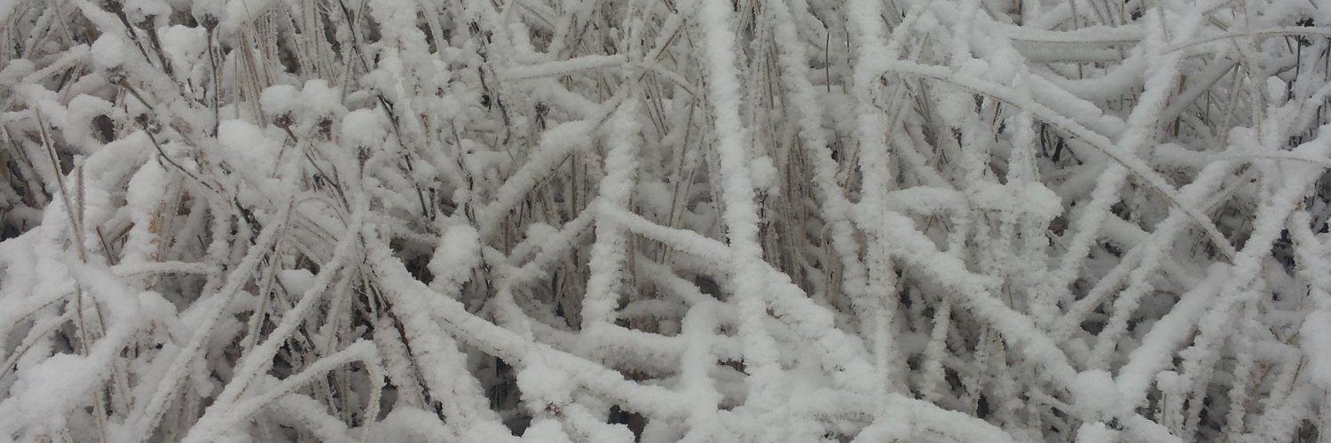 benasau's profile banner image
