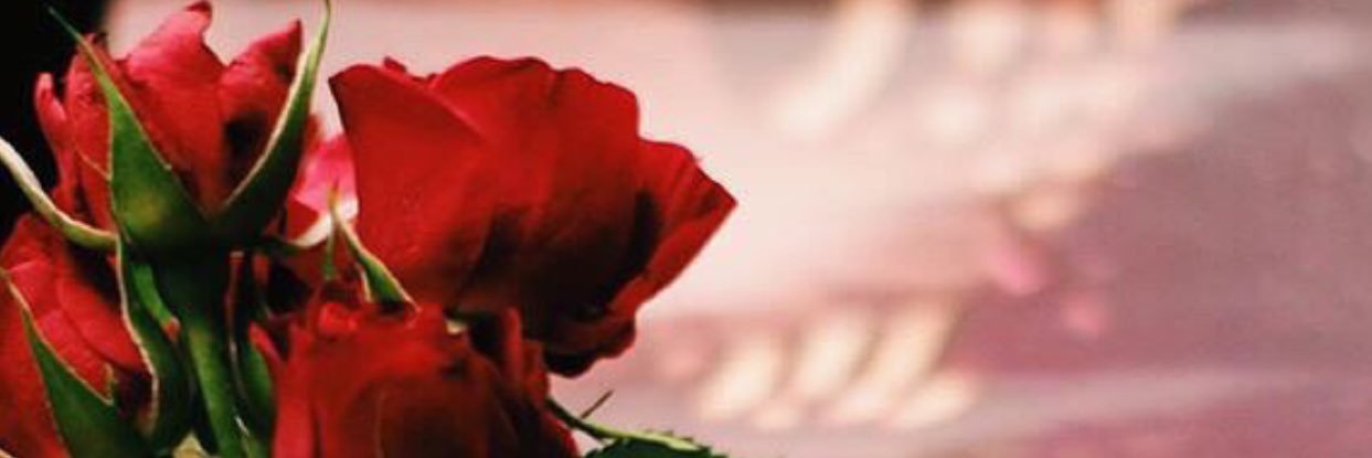 haf9a11's profile banner image