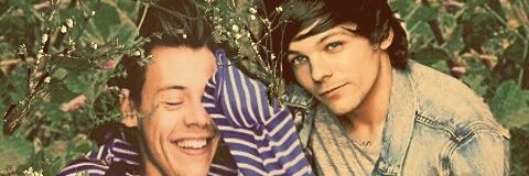 LarriesAreBest's profile banner image