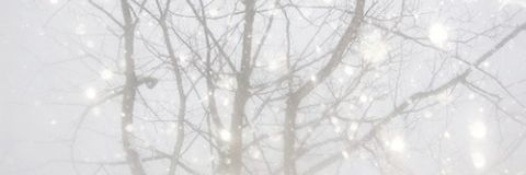 cakefobia's profile banner image