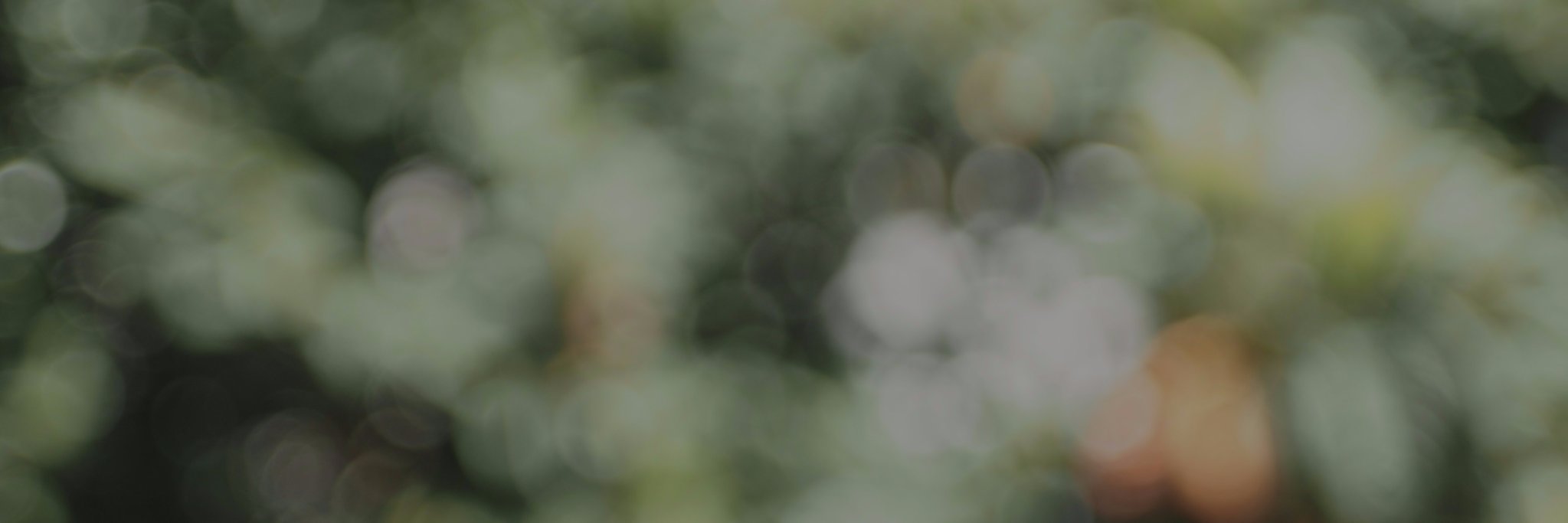 ViewMagic's profile banner image