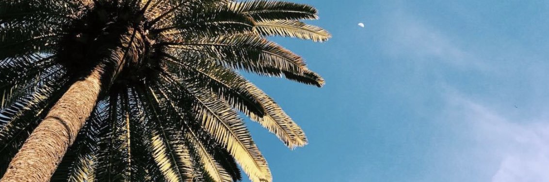 morgan_lynn90's profile banner image