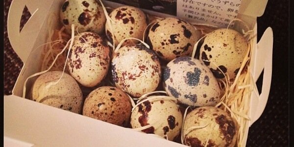 ウズラタマゴ banner