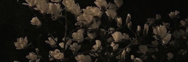 pioussqueen's profile banner image