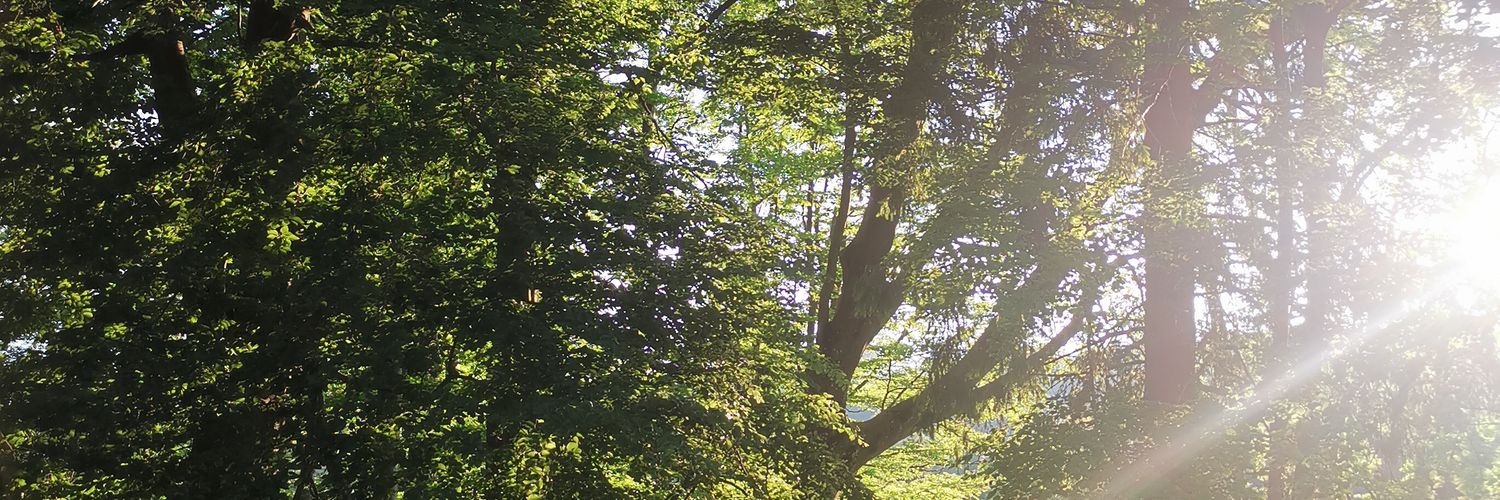 Inderinsider's profile banner image