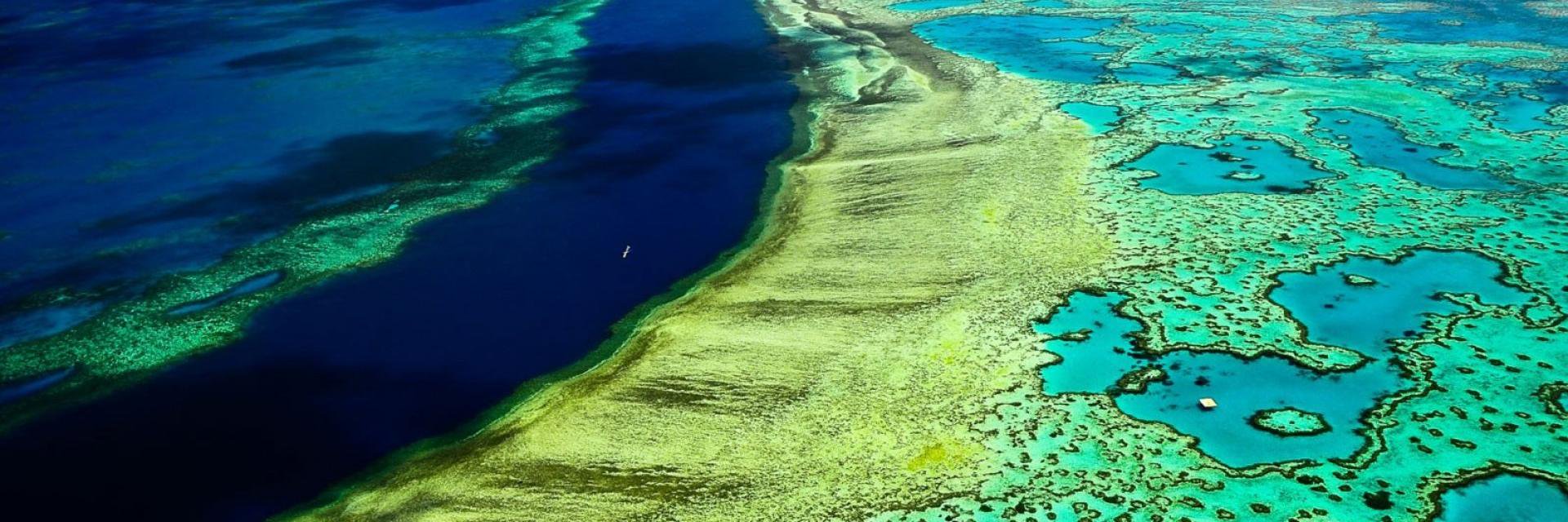 Ocean Conservation banner