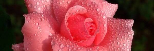 jozriverar's profile banner image