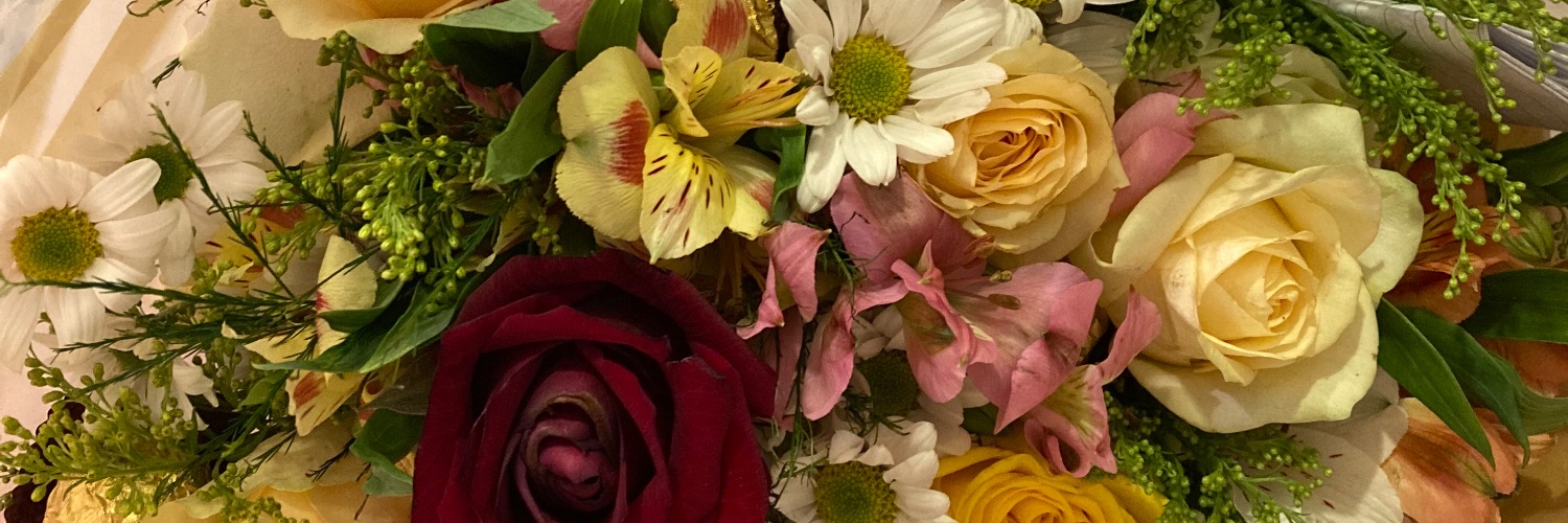 _anabl_'s profile banner image