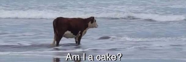 saaamchi's profile banner image