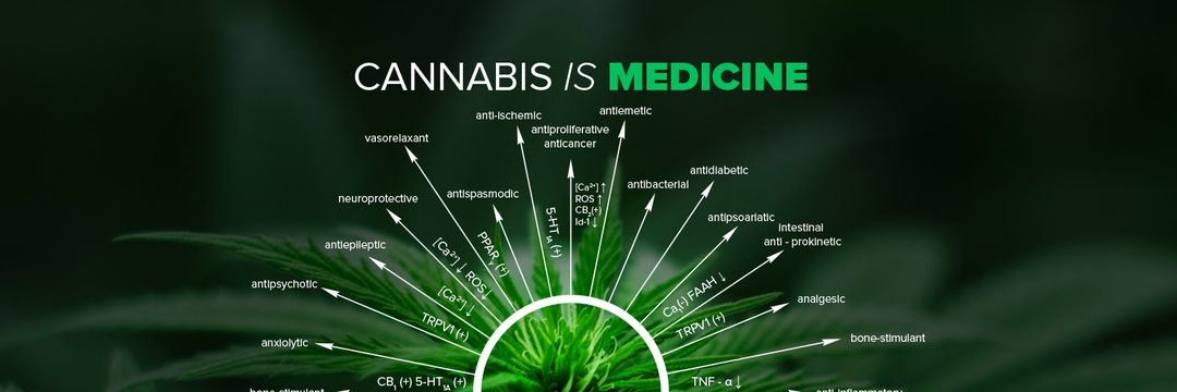mdb5683's profile banner image
