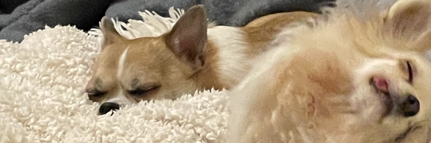 TElcque's profile banner image