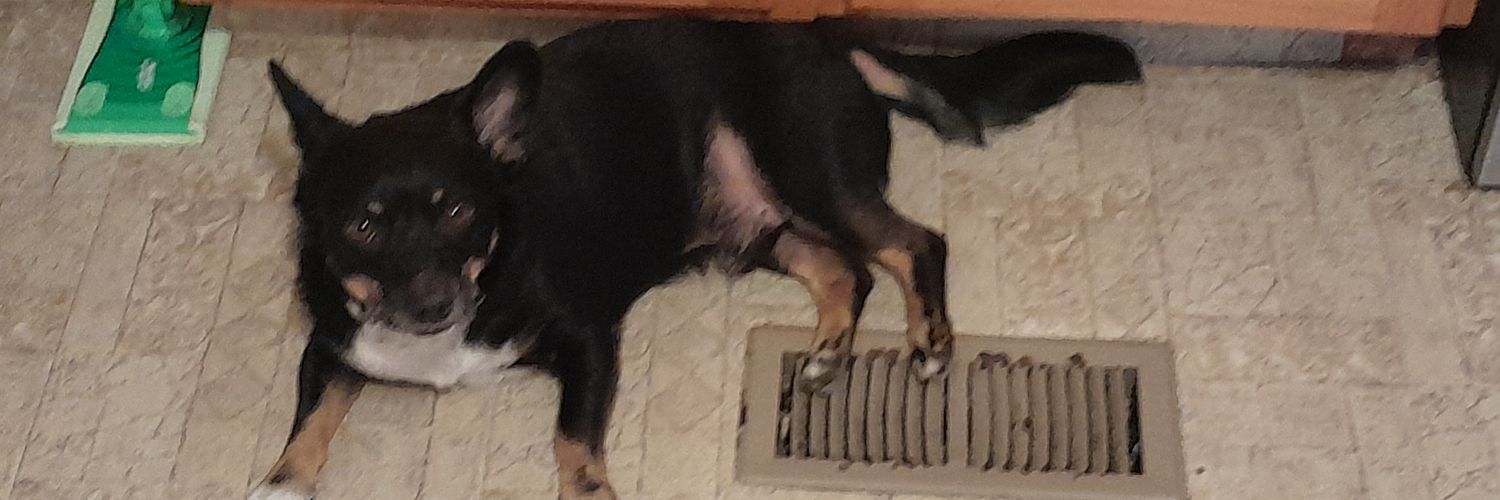 Chaca's Films banner