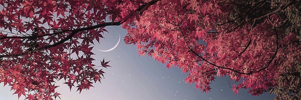 DarKissIm's profile banner image