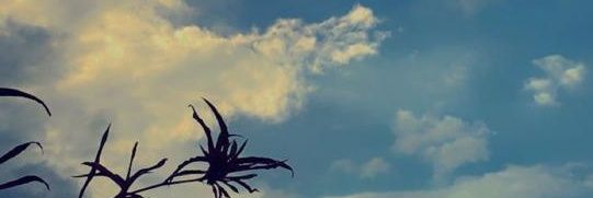 msunit_2000's profile banner image
