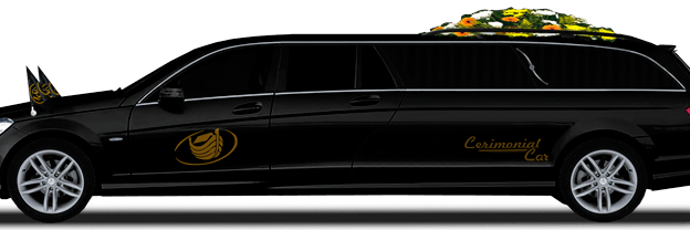 TRVPIZYDIO's profile banner image