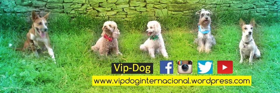 vip__dog's profile banner image