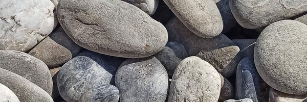 Patujeta Profile Banner